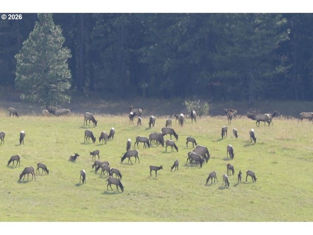 83584 TROY Rd, Wallowa, OR 97885