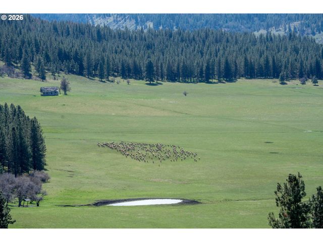 83584 TROY Rd, Wallowa, OR 97885