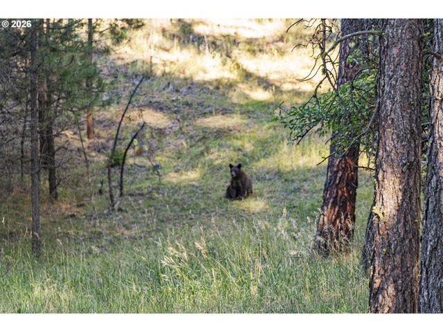 83584 TROY Rd, Wallowa, OR 97885