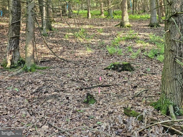195 KNOTTY PINE RD, New Bloomfield, PA 17068