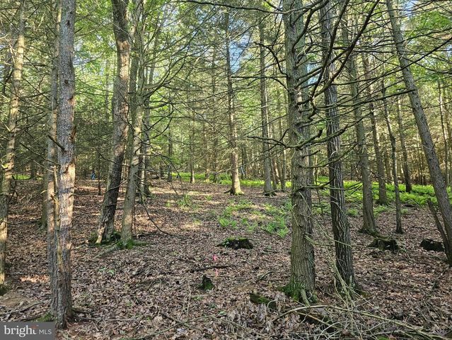 195 KNOTTY PINE RD, New Bloomfield, PA 17068