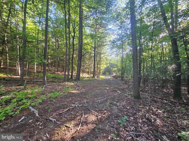 195 KNOTTY PINE RD, New Bloomfield, PA 17068