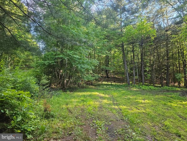 195 KNOTTY PINE RD, New Bloomfield, PA 17068