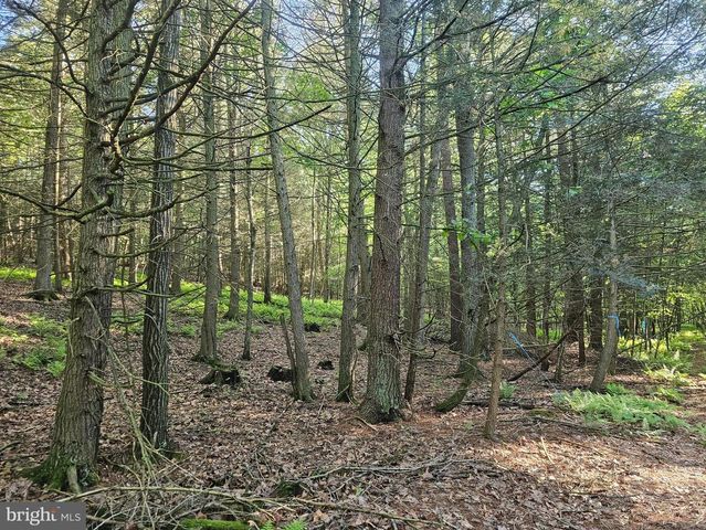 195 KNOTTY PINE RD, New Bloomfield, PA 17068