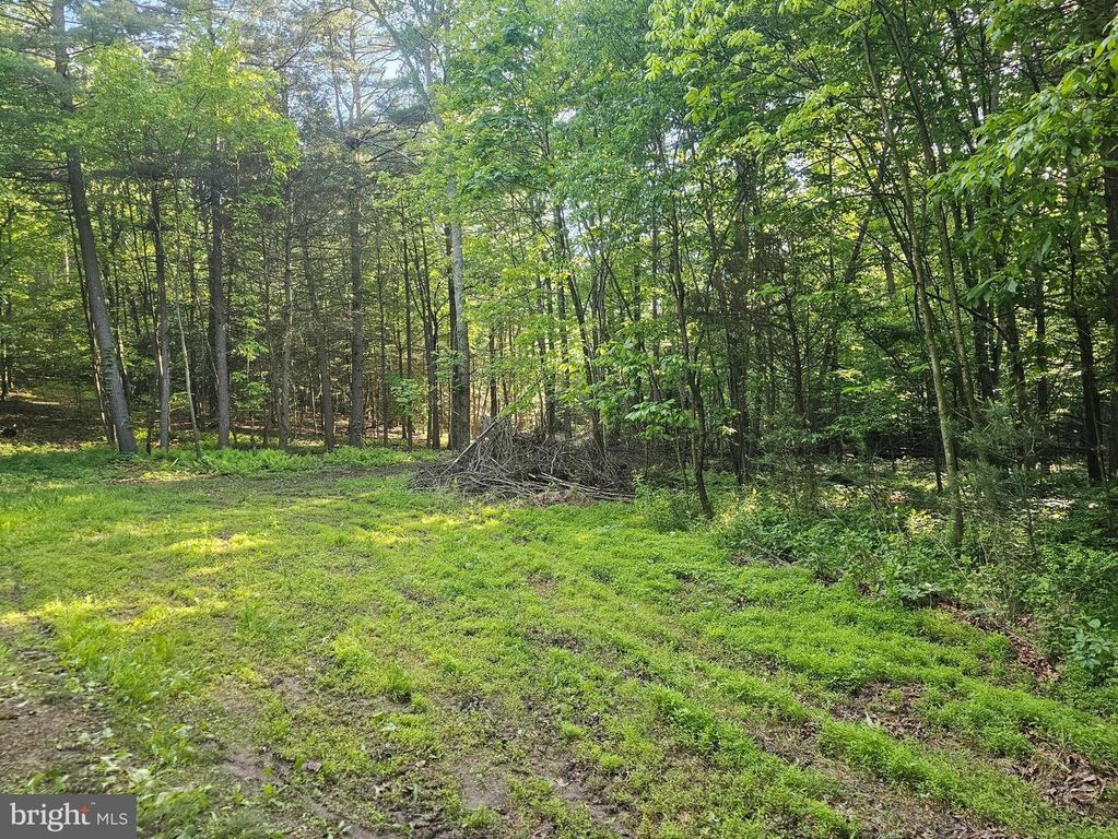 195 KNOTTY PINE RD, New Bloomfield, PA 17068