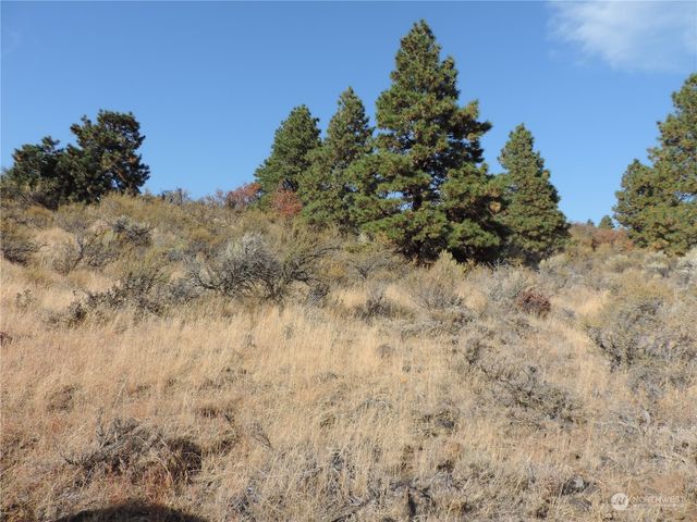 6 XXX Colockum Road, Ellensburg, WA 98926