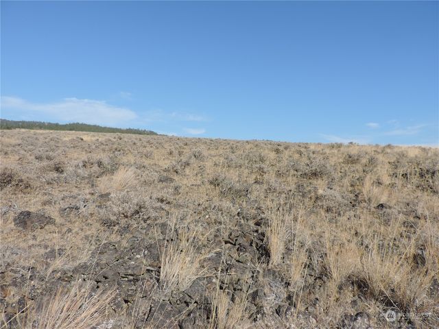 6 XXX Colockum Road, Ellensburg, WA 98926