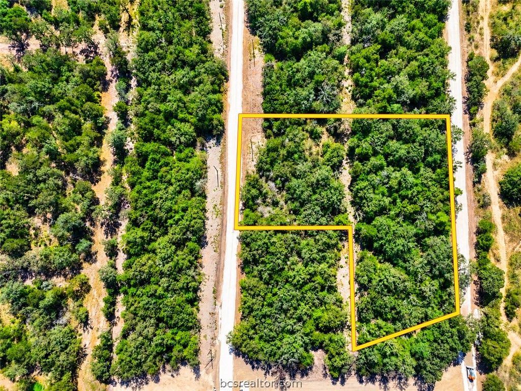 Lot 32-48-49 Meadow Street, Somerville, TX 77879 — photo 4