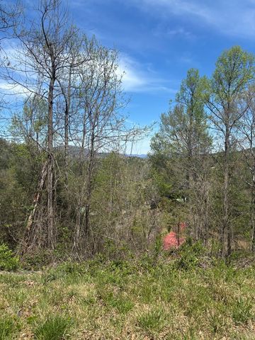 200 Carolina Fox Circle, Murphy, NC 28906