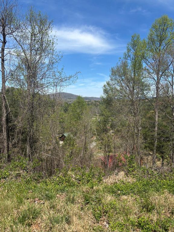 200 Carolina Fox Circle, Murphy, NC 28906