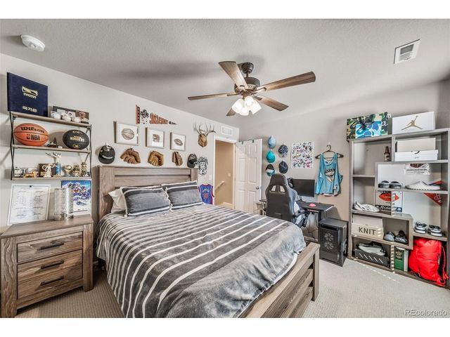 17382 Bluetrail Ave, Parker, CO 80134