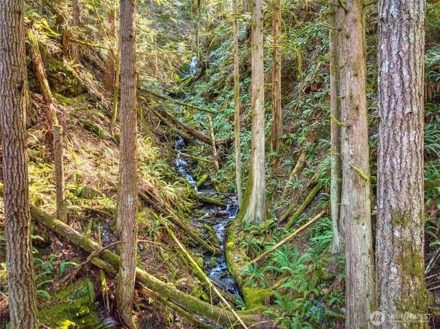 350 Cheetah Lane, Sedro Woolley, WA 98284