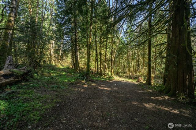 350 Cheetah Lane, Sedro Woolley, WA 98284
