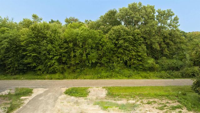 62880 Braun Drive, Washington Twp, MI 48094