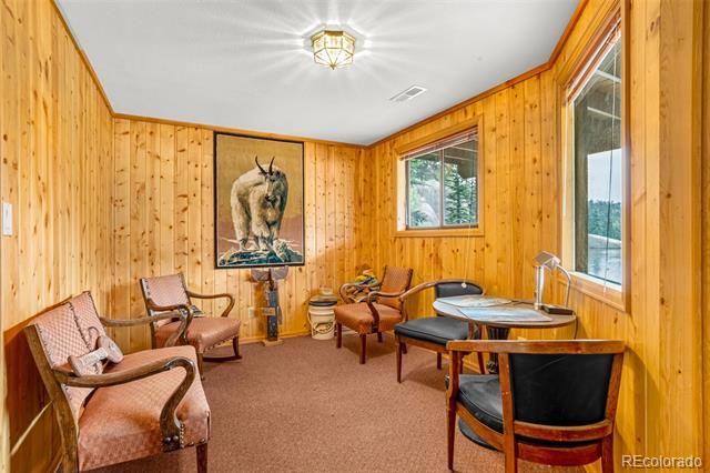 8855 Carroll Lakes Road 30, Woodland Park, CO 80863