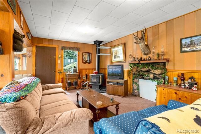 8855 Carroll Lakes Road 30, Woodland Park, CO 80863