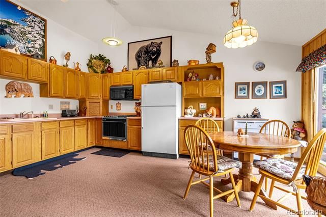 8855 Carroll Lakes Road 30, Woodland Park, CO 80863
