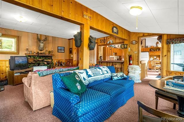 8855 Carroll Lakes Road 30, Woodland Park, CO 80863