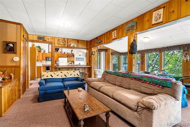 8855 Carroll Lakes Road 30, Woodland Park, CO 80863