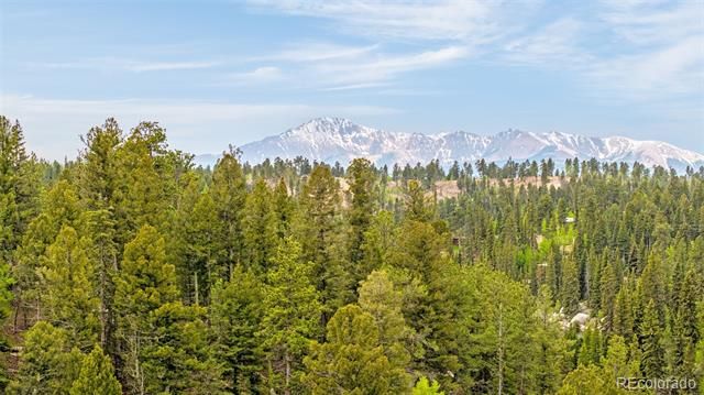 8855 Carroll Lakes Road 30, Woodland Park, CO 80863