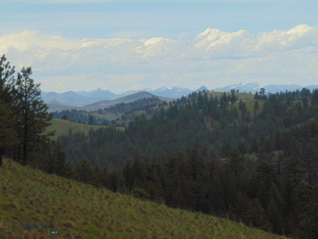 15 Shady Spring, Cascade, MT 59421 photo 16