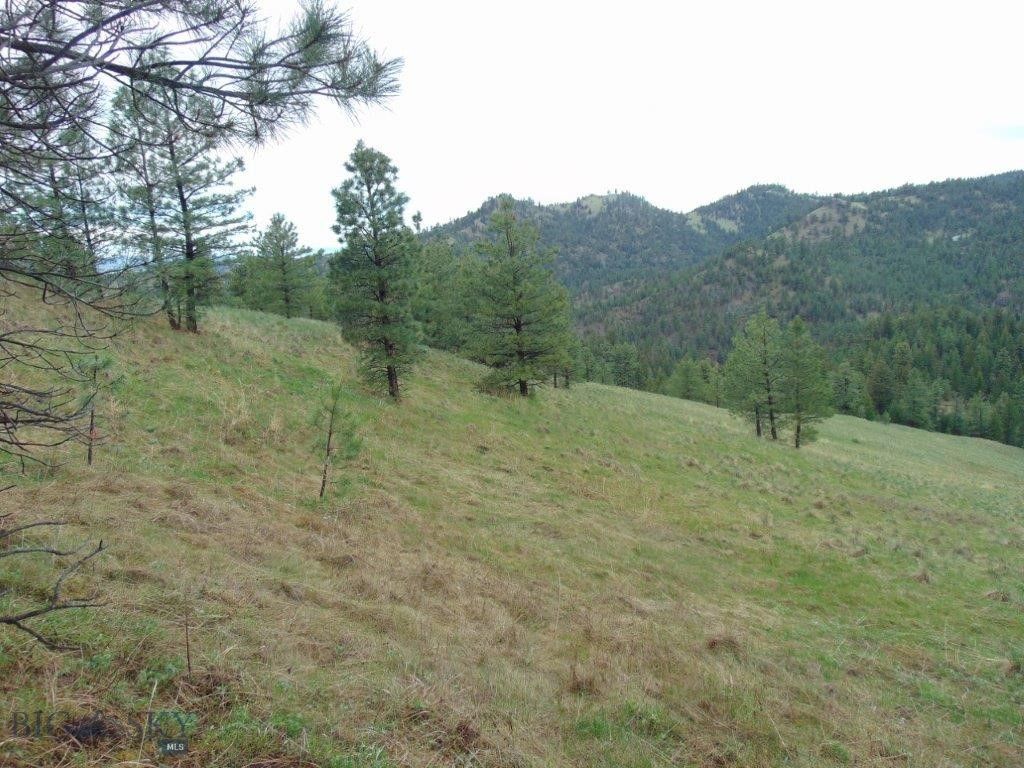 15 Shady Spring, Cascade, MT 59421 photo 27
