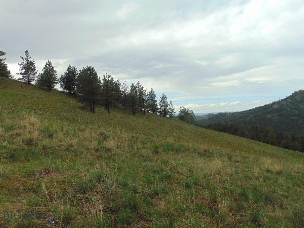 15 Shady Spring, Cascade, MT 59421 photo 30