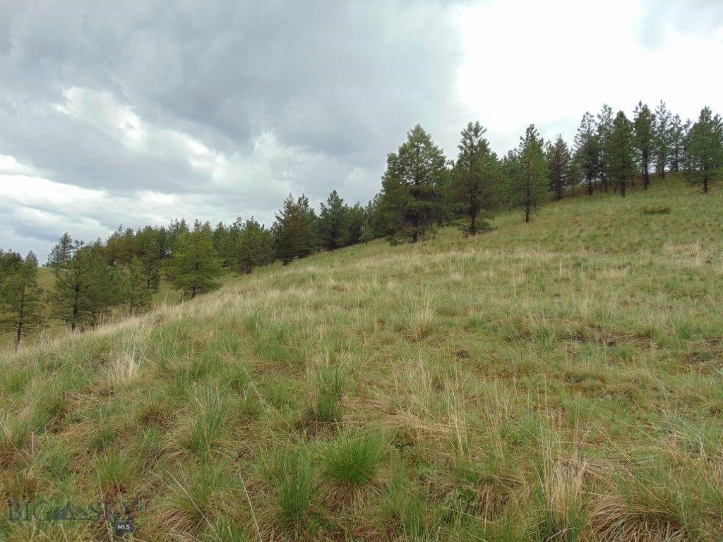 15 Shady Spring, Cascade, MT 59421 photo 33