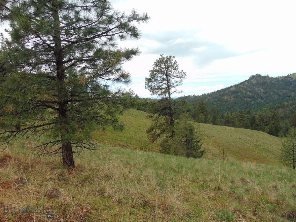 15 Shady Spring, Cascade, MT 59421 photo 35