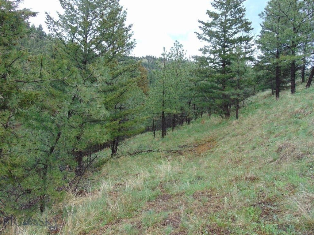 15 Shady Spring, Cascade, MT 59421 photo 36