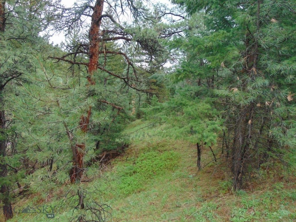 15 Shady Spring, Cascade, MT 59421 photo 37