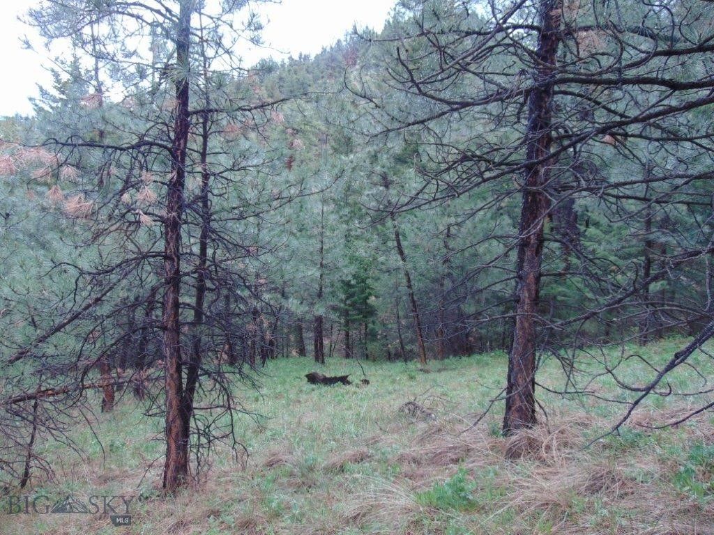 15 Shady Spring, Cascade, MT 59421 photo 39