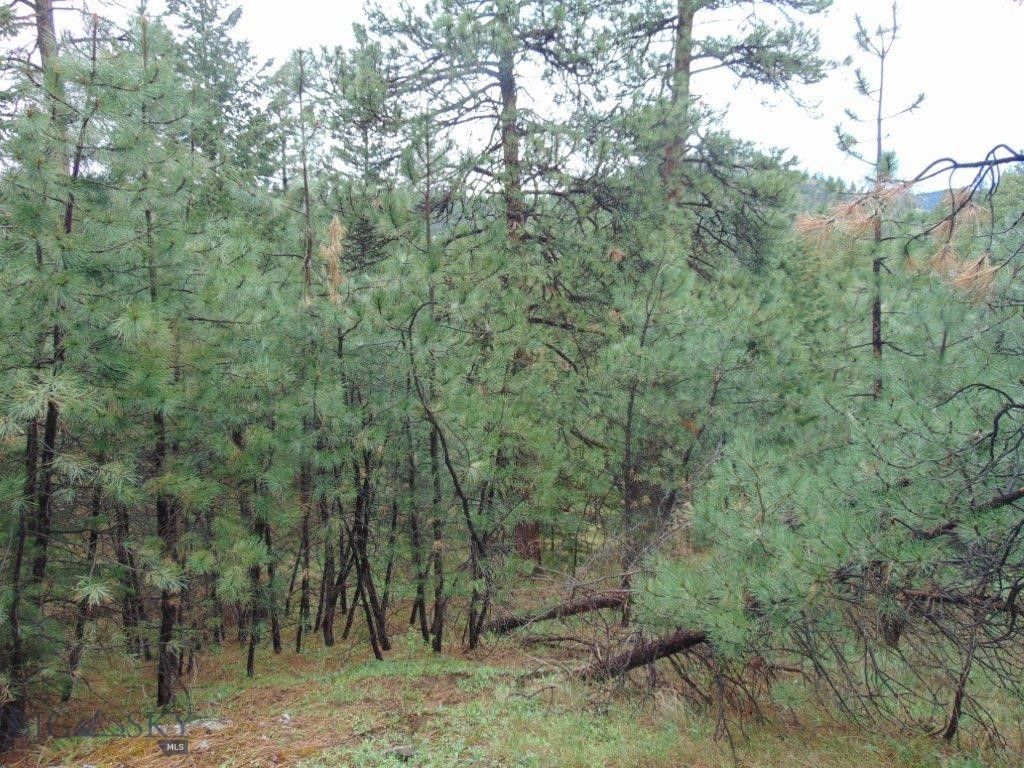 15 Shady Spring, Cascade, MT 59421 photo 40
