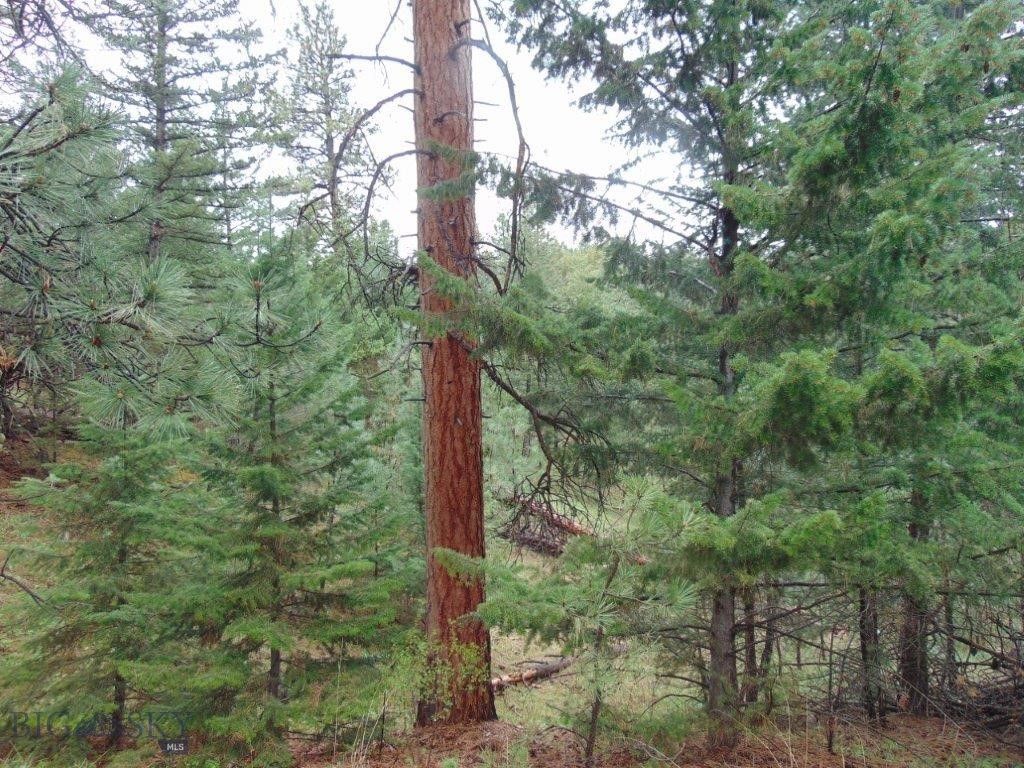 15 Shady Spring, Cascade, MT 59421 photo 41