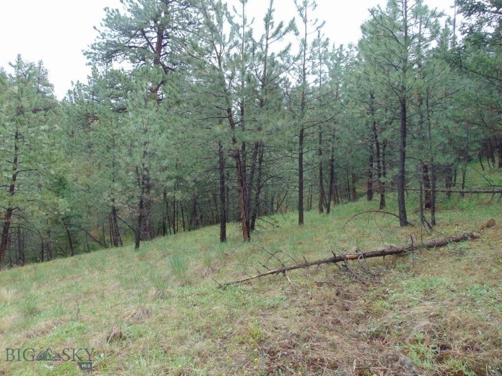 15 Shady Spring, Cascade, MT 59421 photo 42
