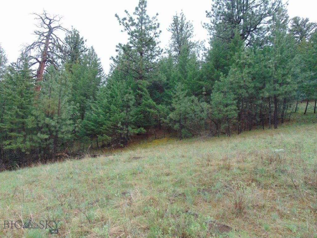 15 Shady Spring, Cascade, MT 59421 photo 44