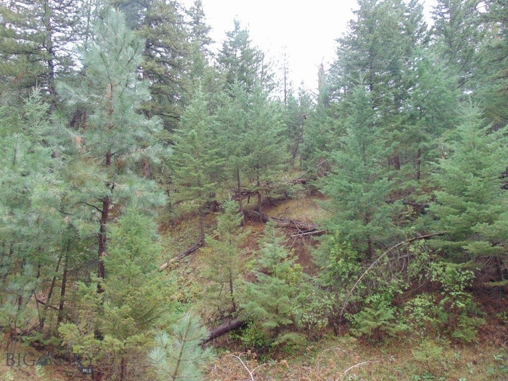 15 Shady Spring, Cascade, MT 59421 photo 45