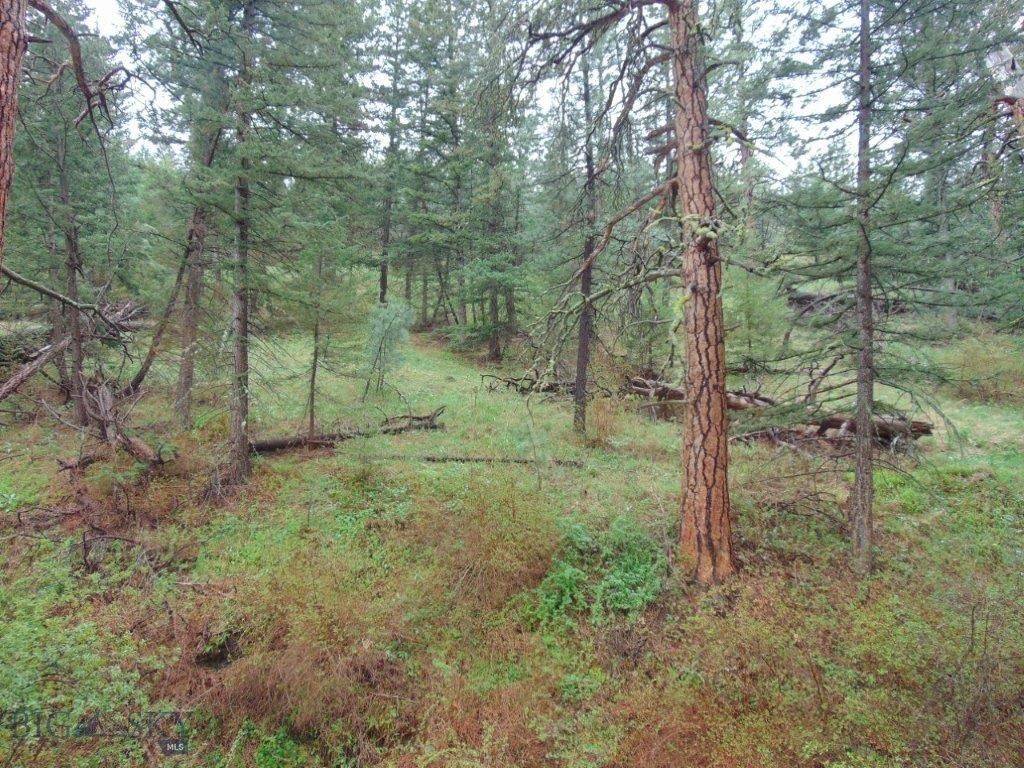 15 Shady Spring, Cascade, MT 59421 photo 46