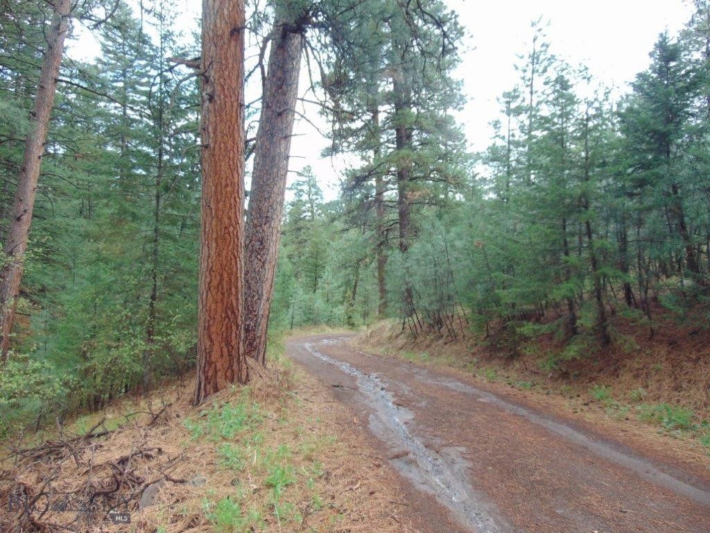 15 Shady Spring, Cascade, MT 59421 photo 47