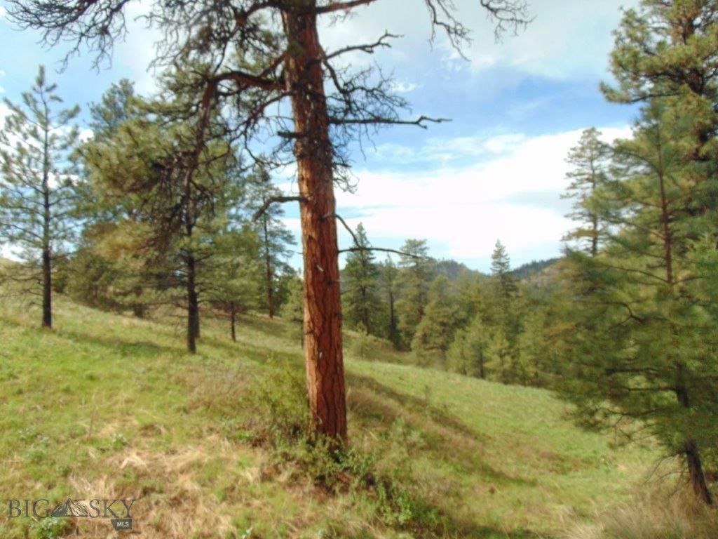 15 Shady Spring, Cascade, MT 59421 photo 48