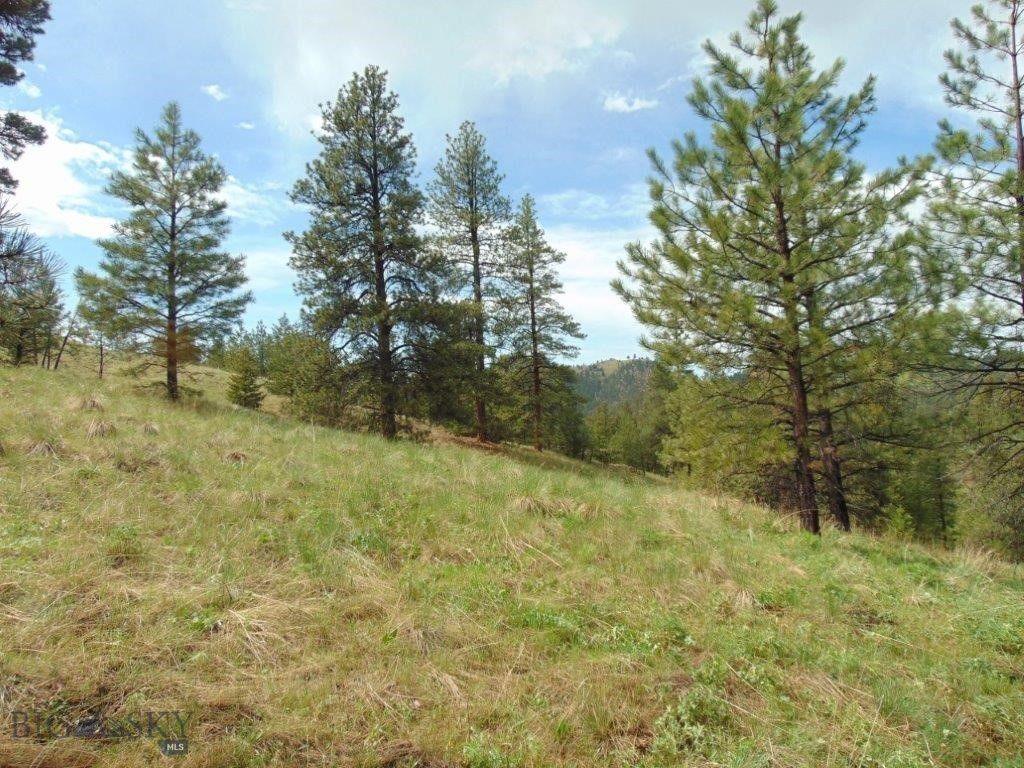 15 Shady Spring, Cascade, MT 59421 photo 49