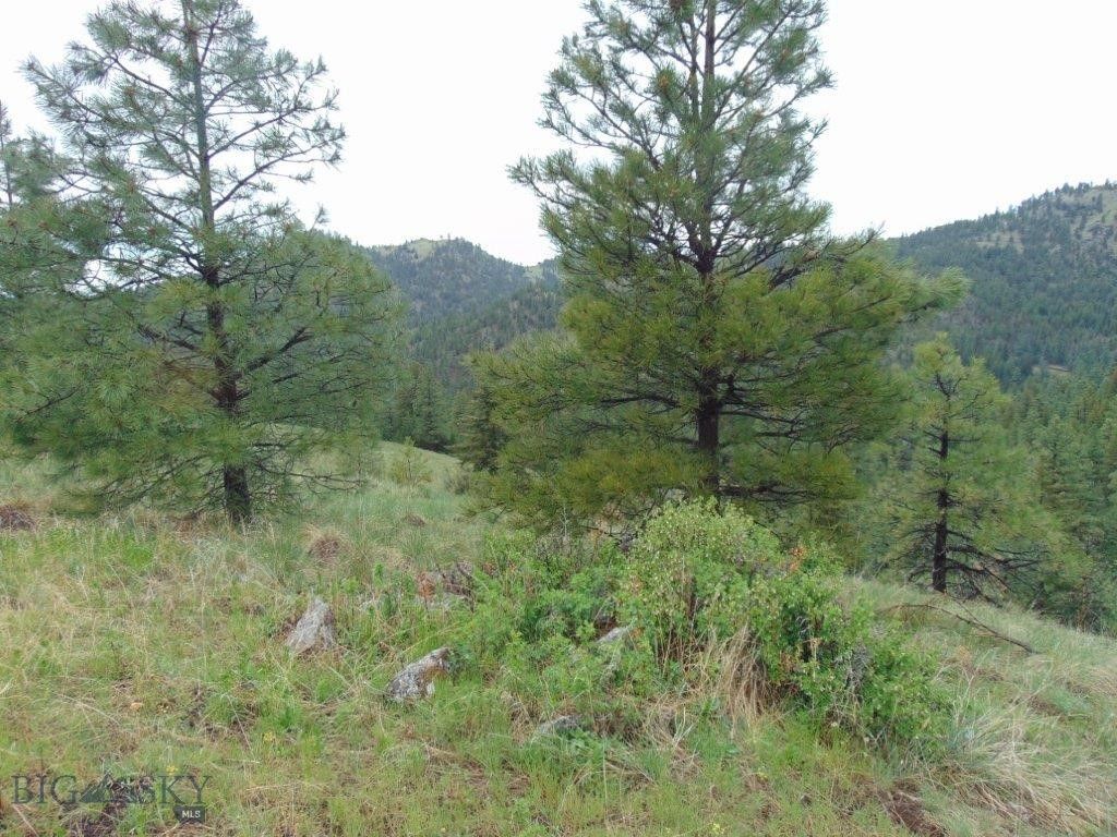 15 Shady Spring, Cascade, MT 59421 photo 5