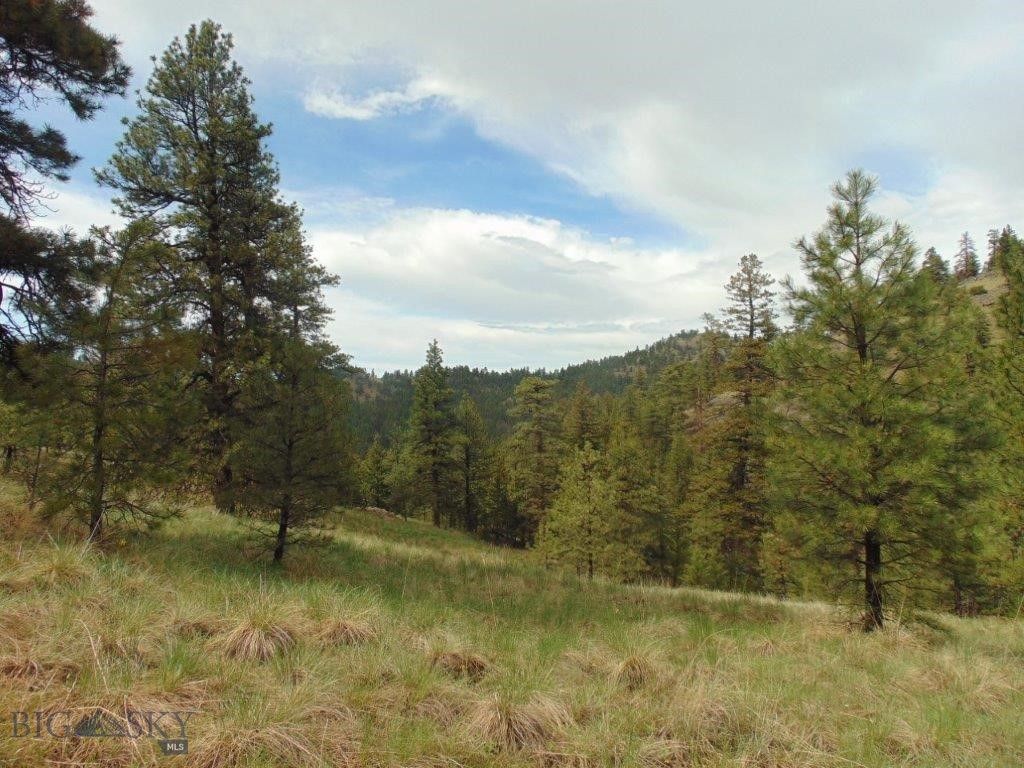 15 Shady Spring, Cascade, MT 59421 photo 50