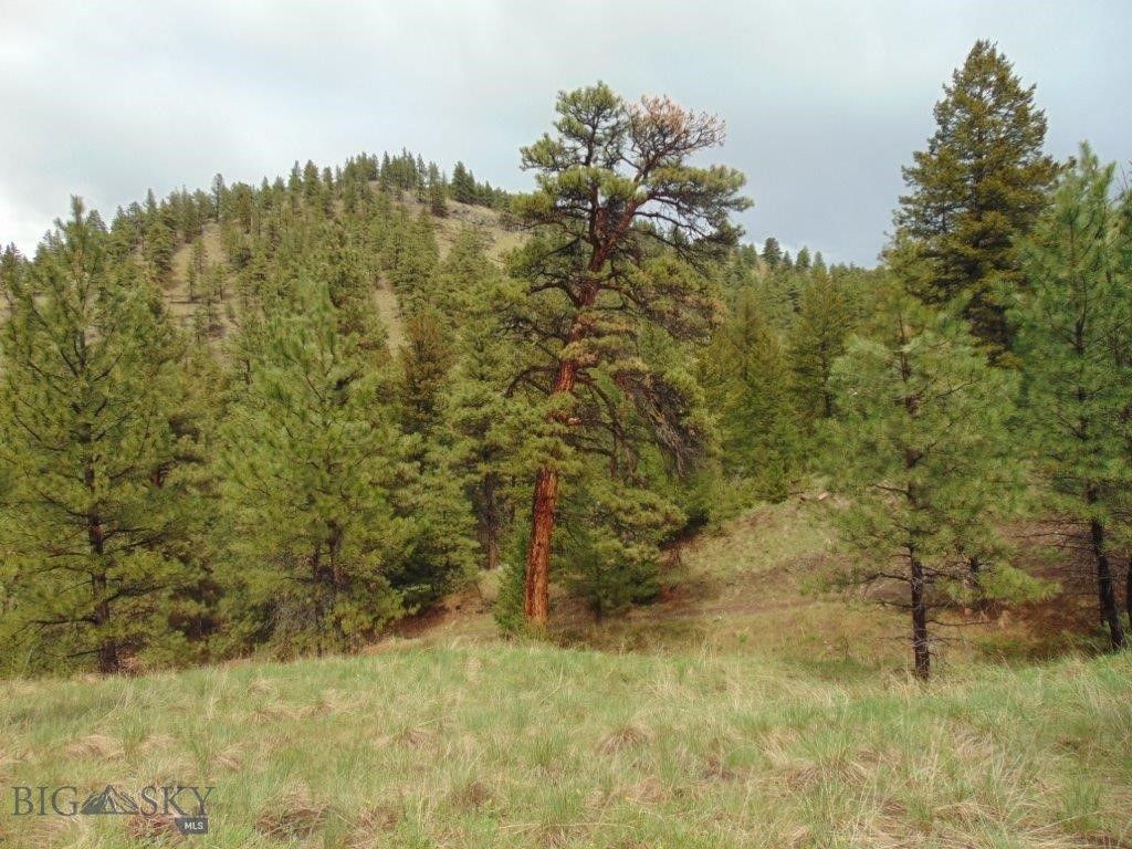 15 Shady Spring, Cascade, MT 59421 photo 51