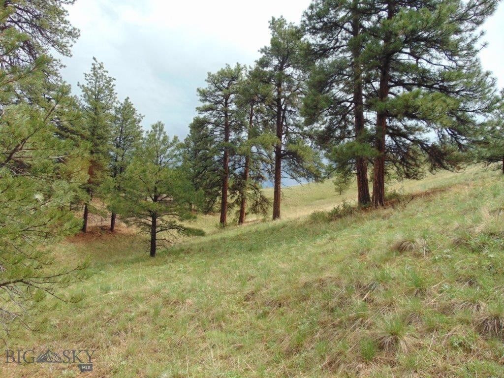 15 Shady Spring, Cascade, MT 59421 photo 52