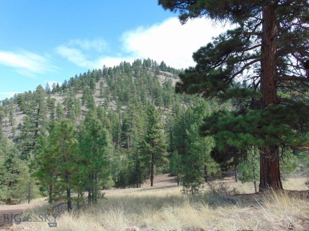 15 Shady Spring, Cascade, MT 59421 photo 69