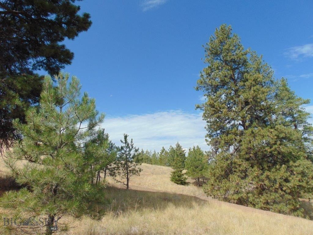 15 Shady Spring, Cascade, MT 59421 photo 73