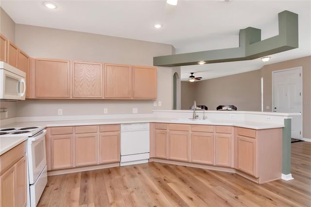 21433 DIAMONTE DRIVE, Land O Lakes, FL 34637