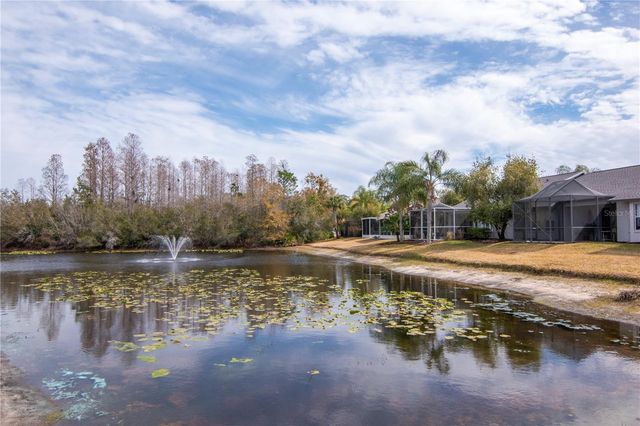 21433 DIAMONTE DRIVE, Land O Lakes, FL 34637