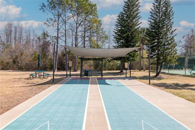 21433 DIAMONTE DRIVE, Land O Lakes, FL 34637